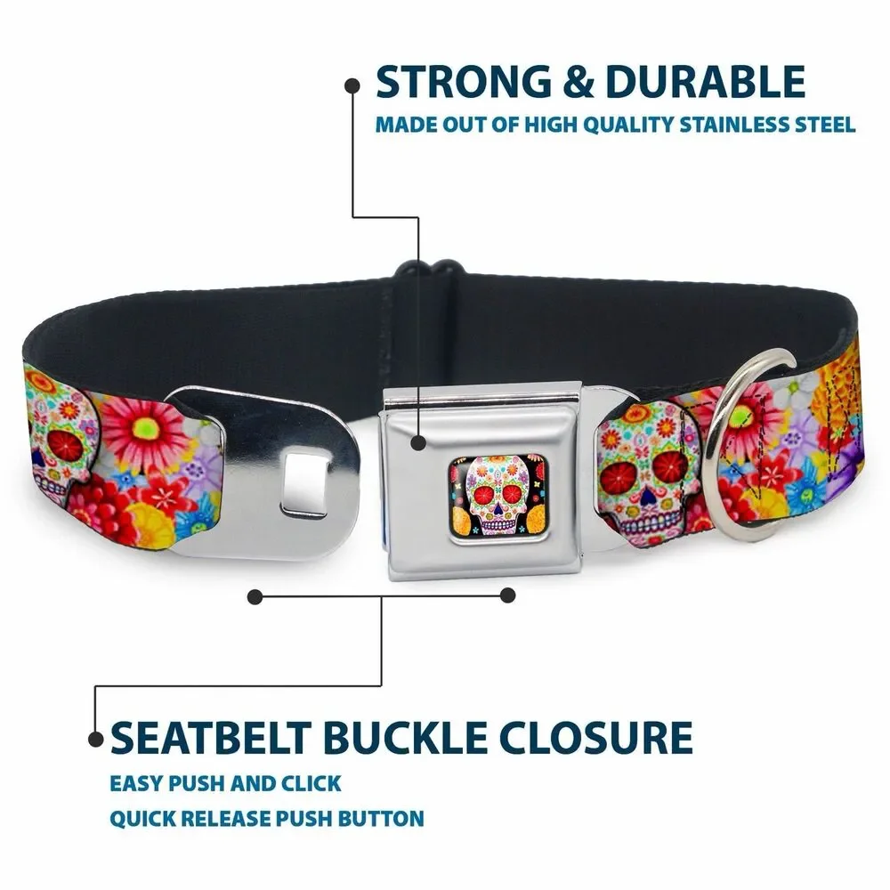 Sugar Skull Starburst Seatbelt Buckle Dog Collar 20-31” Black Multicolor 1.5”